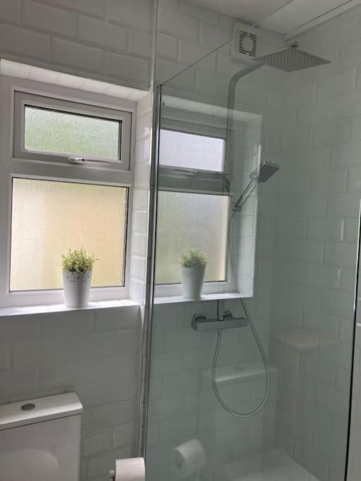 Whitethorn Cottage, Palmfield Ballaghaderreen Dış mekan fotoğraf