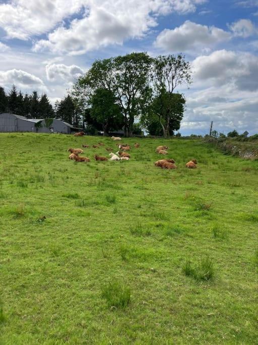 Whitethorn Cottage, Palmfield Ballaghaderreen Dış mekan fotoğraf