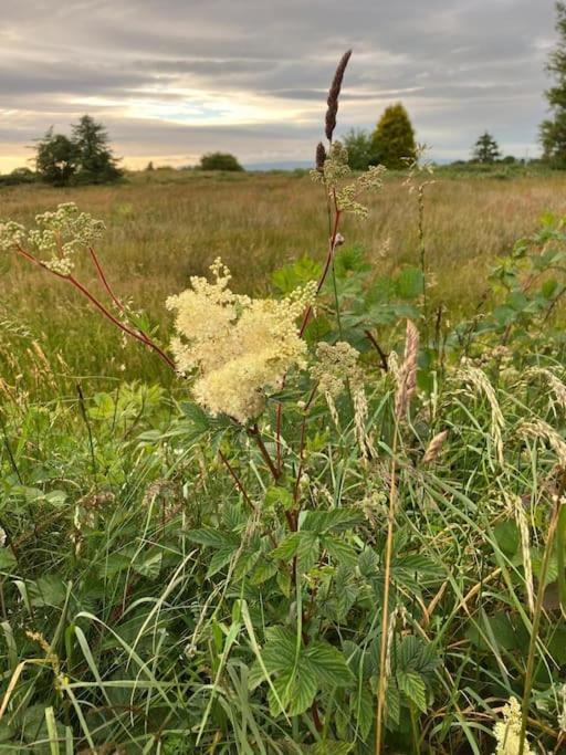 Whitethorn Cottage, Palmfield Ballaghaderreen Dış mekan fotoğraf